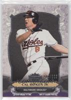 Cal Ripken Jr. #/325