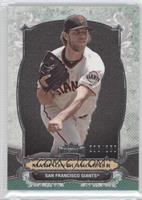 Madison Bumgarner #/250