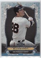 Buster Posey #/25