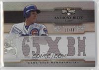 Anthony Rizzo #/36