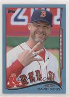 David Ross