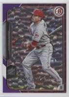 Joey Votto #/50