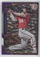 Bryce Harper #/50