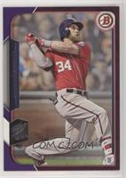 Bryce Harper #/250