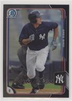 Greg Bird [EX to NM]