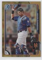 Kevin Plawecki #/50