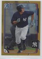 Greg Bird #/50