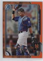 Kevin Plawecki #/25