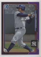 Gary Sanchez #/250