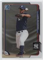 Luis Severino #/499