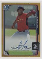 Alex Reyes #/50