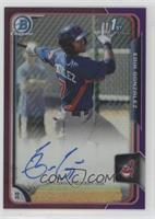 Erik Gonzalez #/250