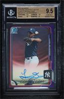 Luis Severino [BGS 9.5 GEM MINT] #/250