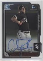 Carlos Rodon