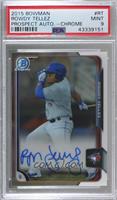 Rowdy Tellez [PSA 9 MINT]