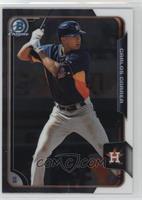 Carlos Correa