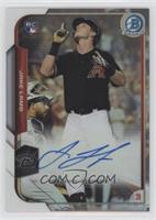 Jake Lamb #/499