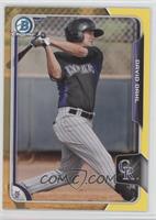 David Dahl (Bowman Chrome Logo)