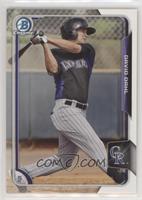 David Dahl (Bowman Chrome Logo)