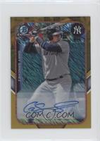 Gary Sanchez #/50