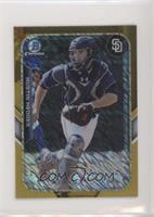 Austin Hedges #/50