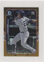 Greg Bird #/50