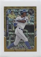 Raul Mondesi #/50