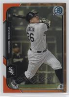 Avisail Garcia #/25