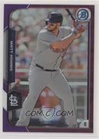 Matt Adams [EX to NM] #/250