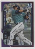 Nelson Cruz #/250