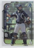 Austin Hedges #/499