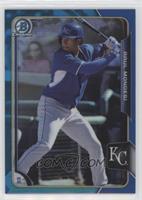 Raul Mondesi #/150