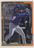 Raul Mondesi #/25