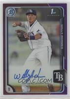 Willy Adames #/250