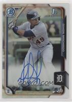 Dixon Machado #/499