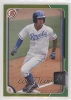 Raul Mondesi #/99