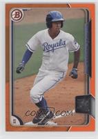 Raul Mondesi #/25