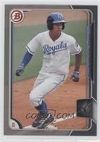 Raul Mondesi #/499