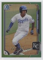 Raul Mondesi #/99