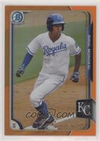 Raul Mondesi #/25