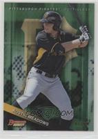 Austin Meadows #/99