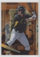 Austin Meadows #/25