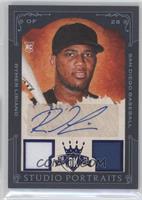 Rymer Liriano #/25