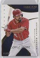 Anthony Rendon #/99