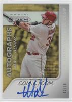 Matt Adams #/10