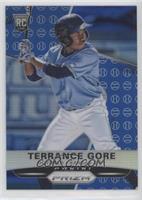 Terrance Gore