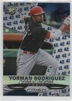 Yorman Rodriguez #/42