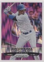 Junior Lake #/99