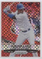 Junior Lake #/125