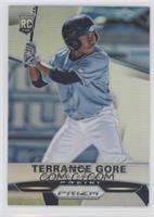 Terrance Gore